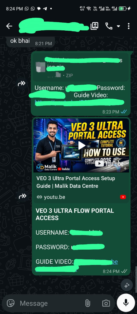 VEO 3 Portal Setup Proof